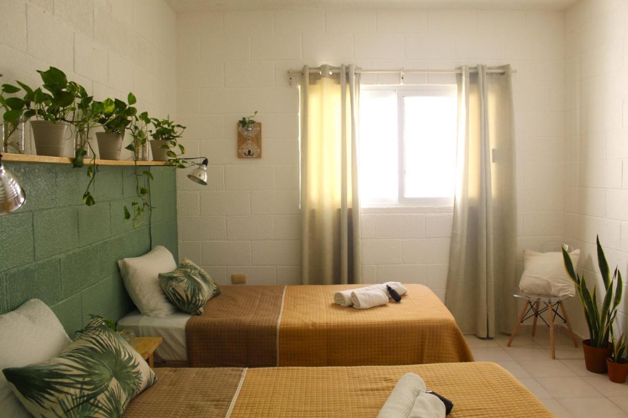 Casa Palmita Pensión