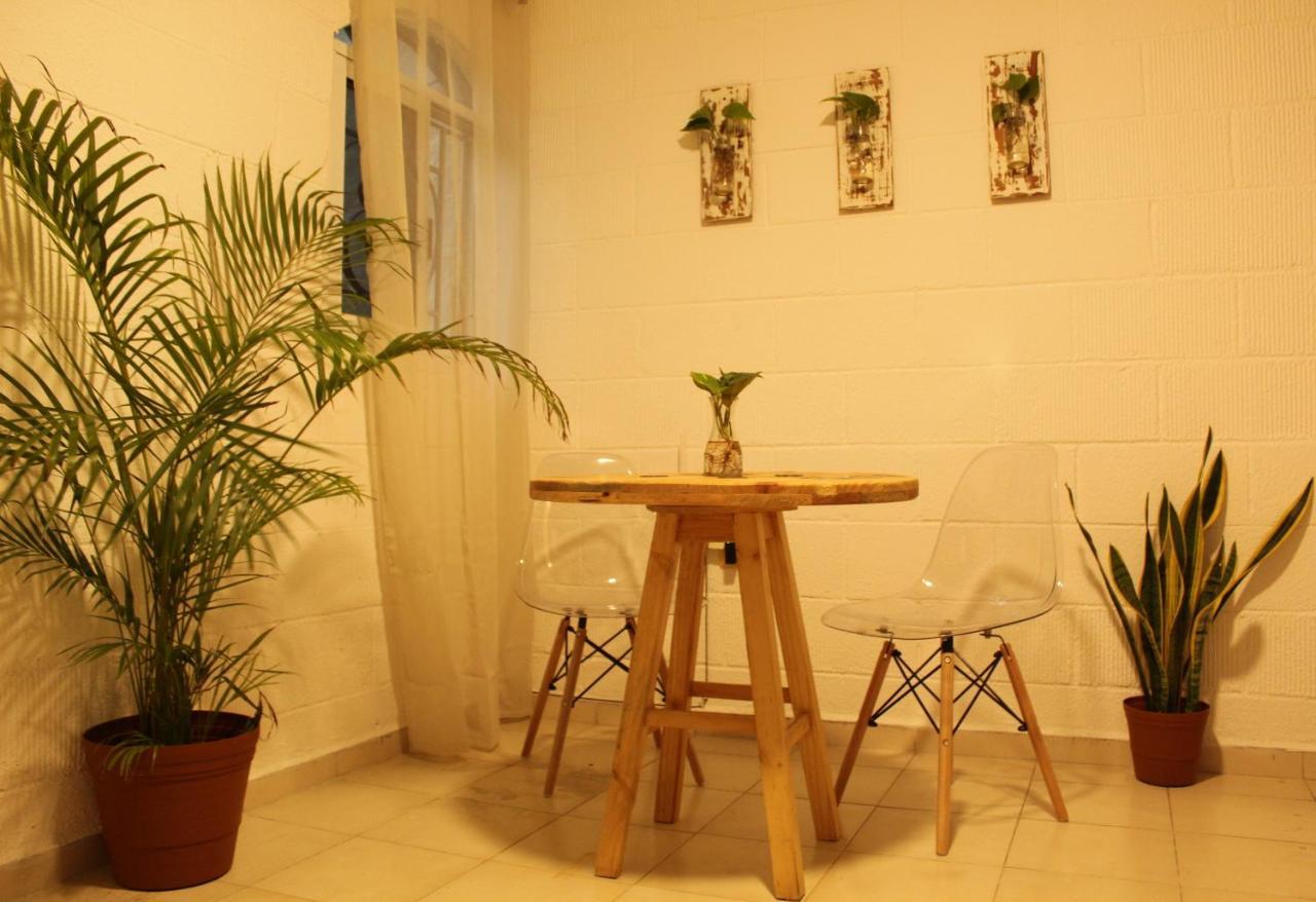 Casa Palmita Pensión