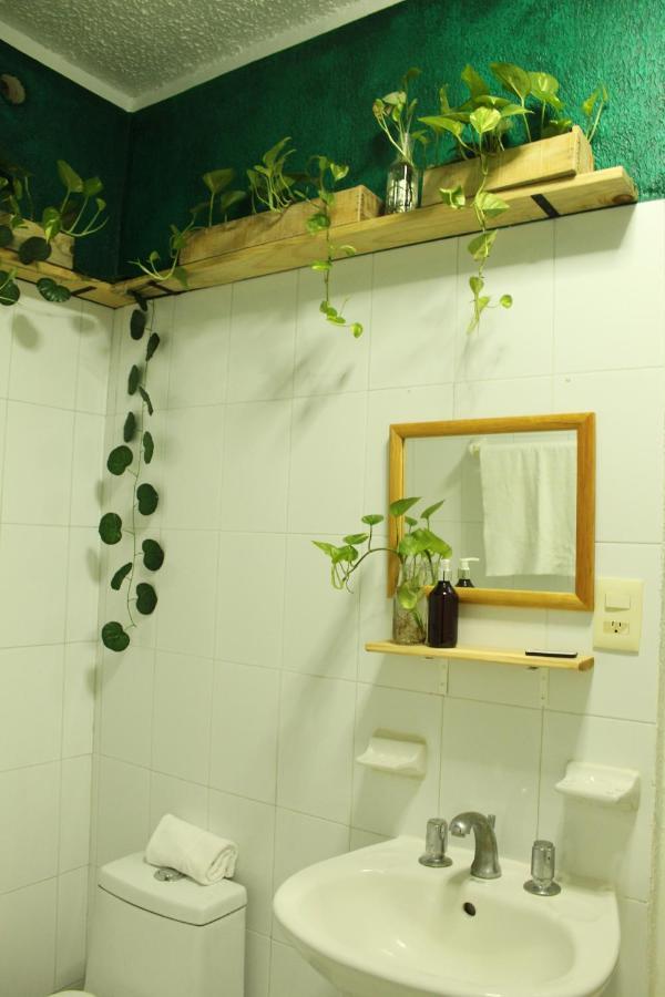 Casa Palmita Pensión *