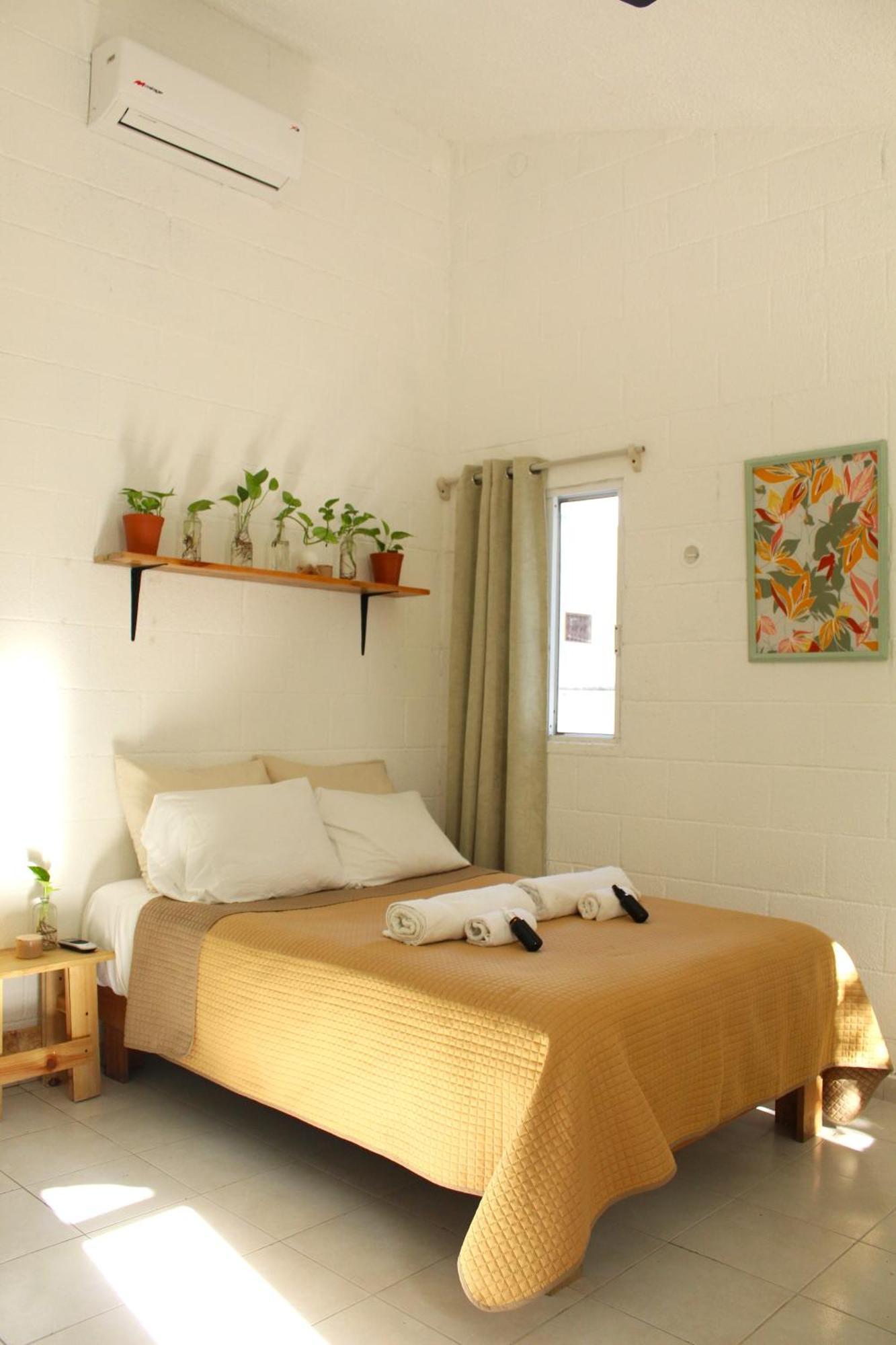 Casa Palmita Pensión